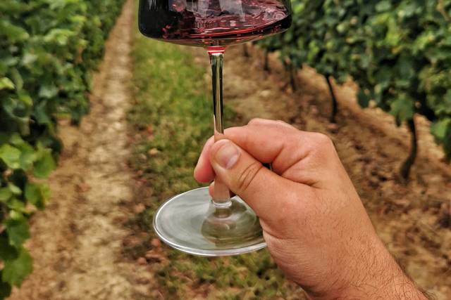 Vin rouge
