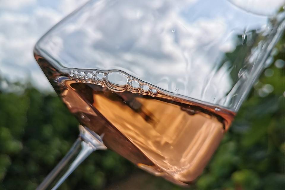 Vin rosé