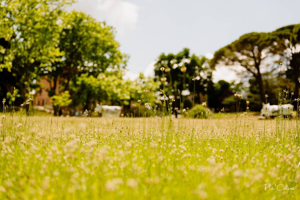 Domaine de tourris