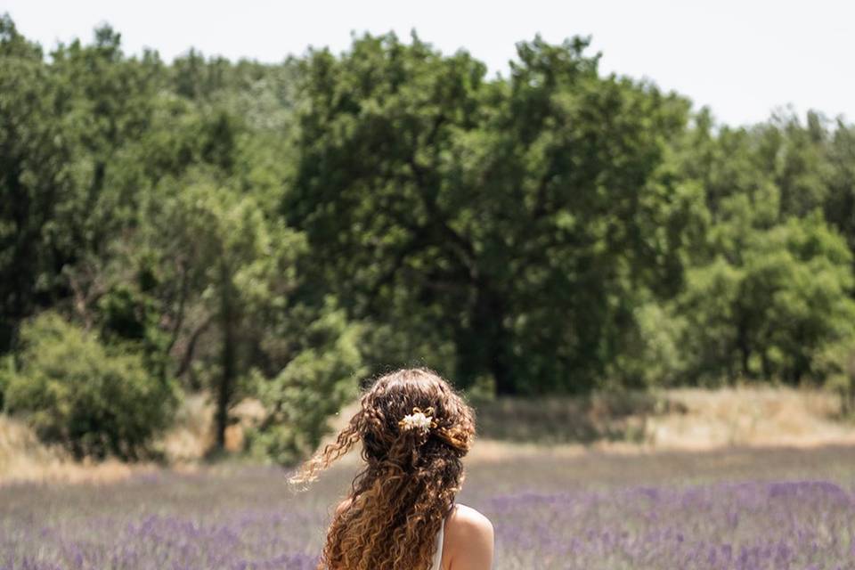 Mariage en Luberon