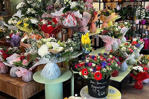 Fleurs et plantes à Nîmes