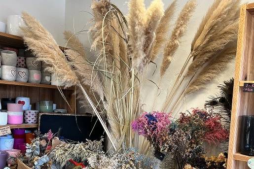 Vente de fleurs séchées Nîmes