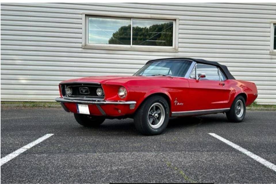 Mustang