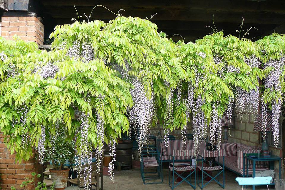 Jardins de la Ferme Bleue