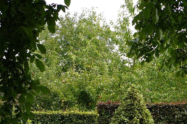 Jardins de la Ferme Bleue