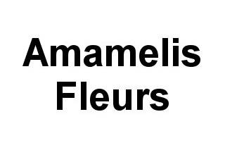 Amamelis Fleurs