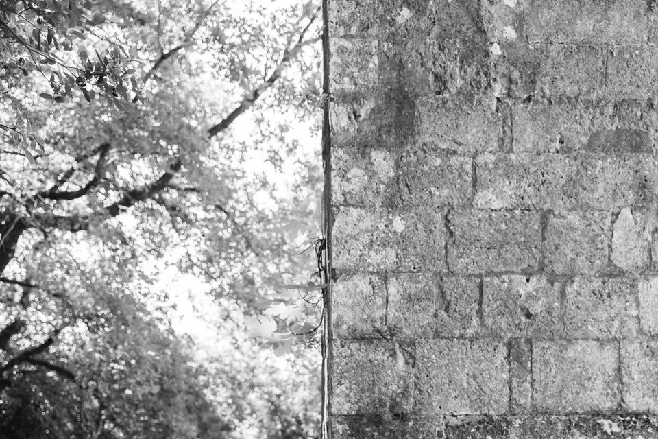 Photo des mariés
