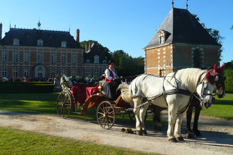 Chaumont s Tharonne 2008