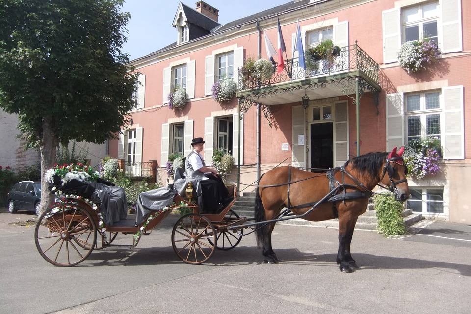 Meung sur Loire 2013