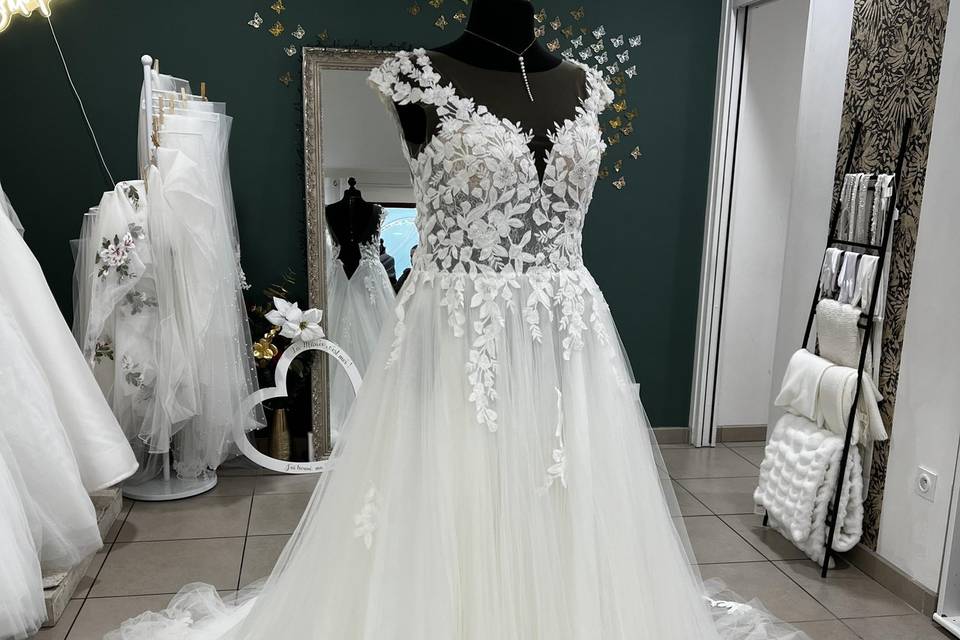 Bianco Curves 2026