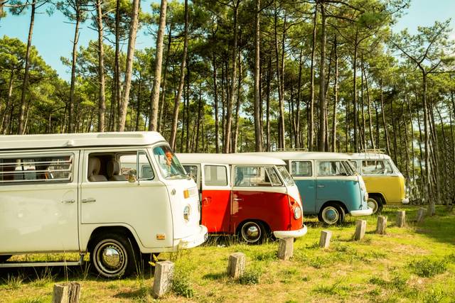 Vintage Camper