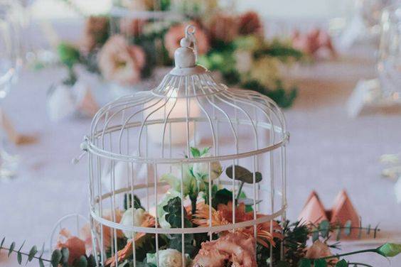 Composition cage oiseau