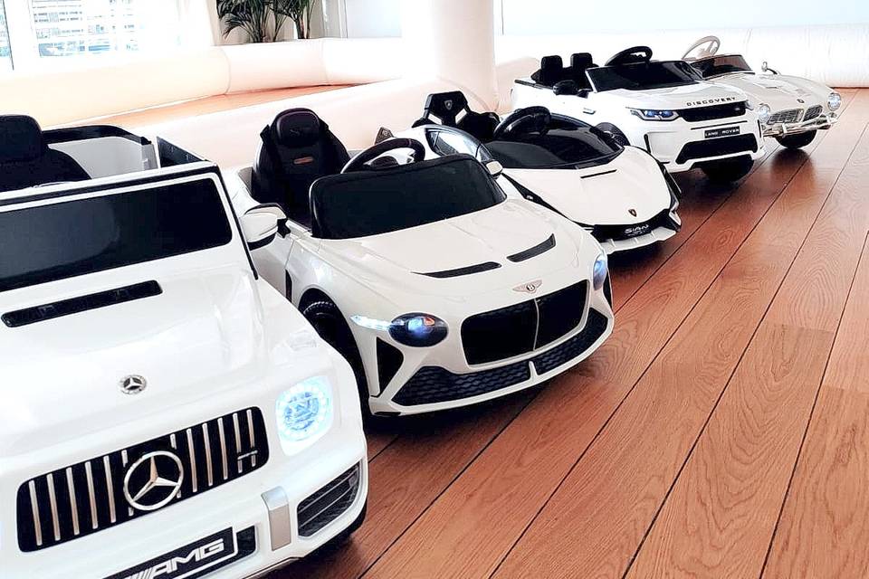 Luxury Race car