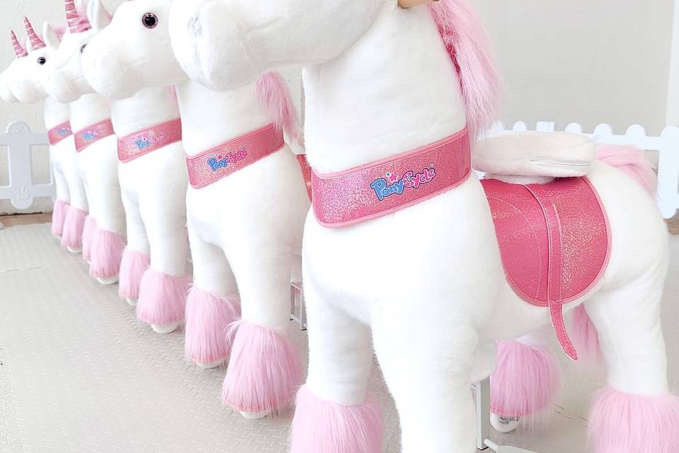 Pony Club aire de jeux