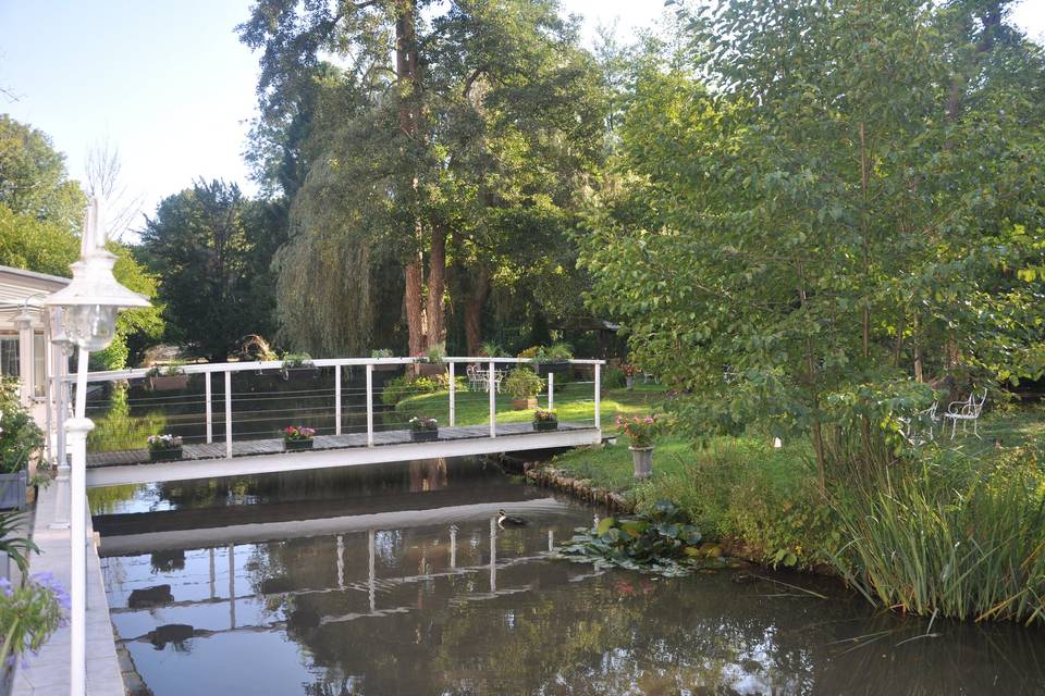 Etang