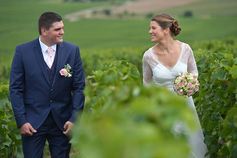 Dans le vigne de champagne