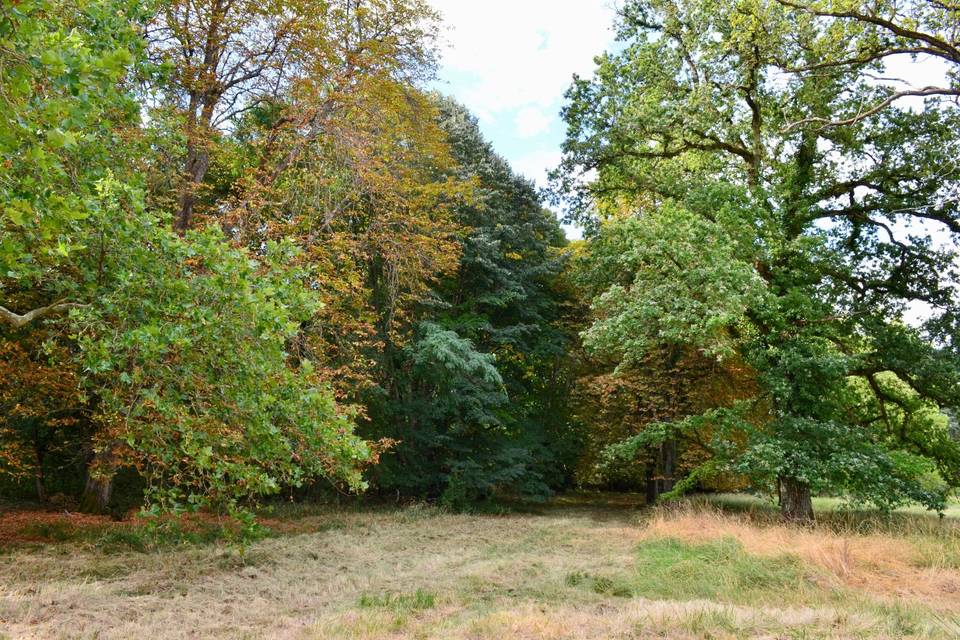 Château de Freschines