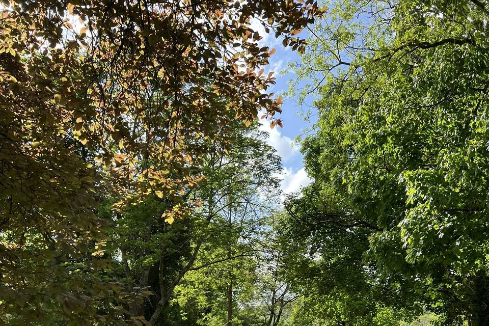 Parc