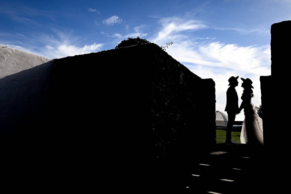 Silhouettes au fond du jardin