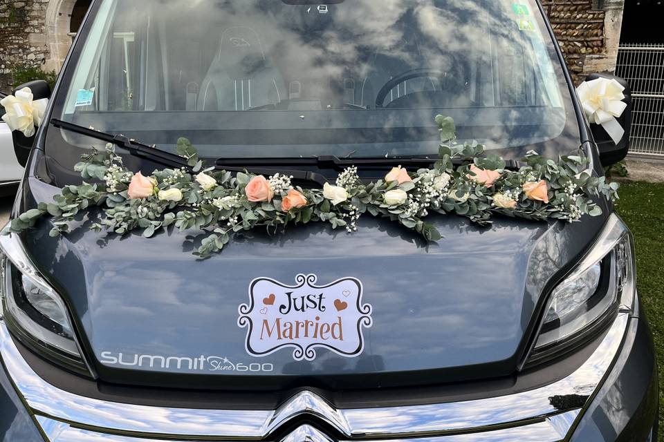 Guirlande voiture