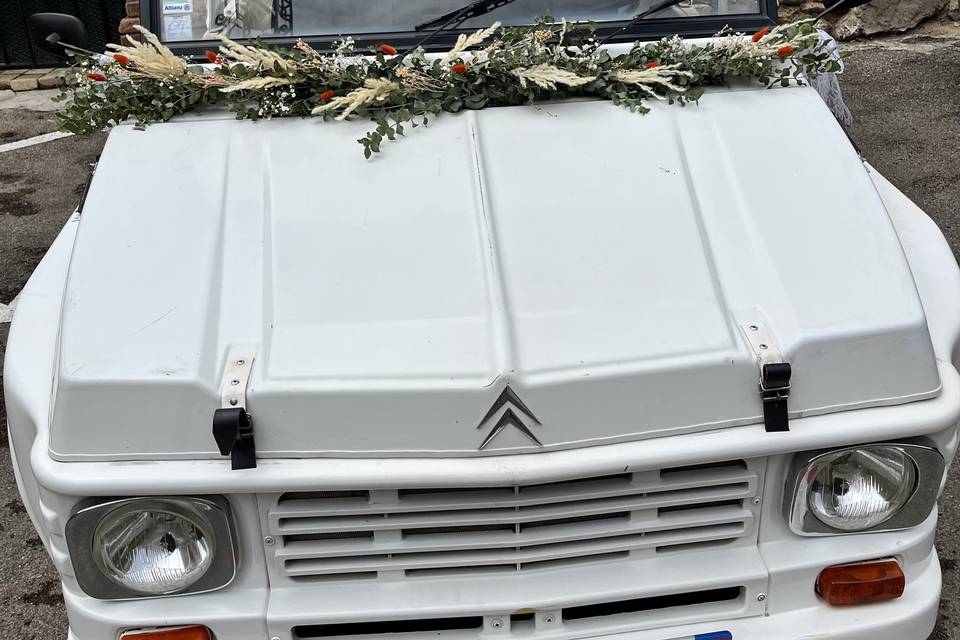 Guirlande voiture