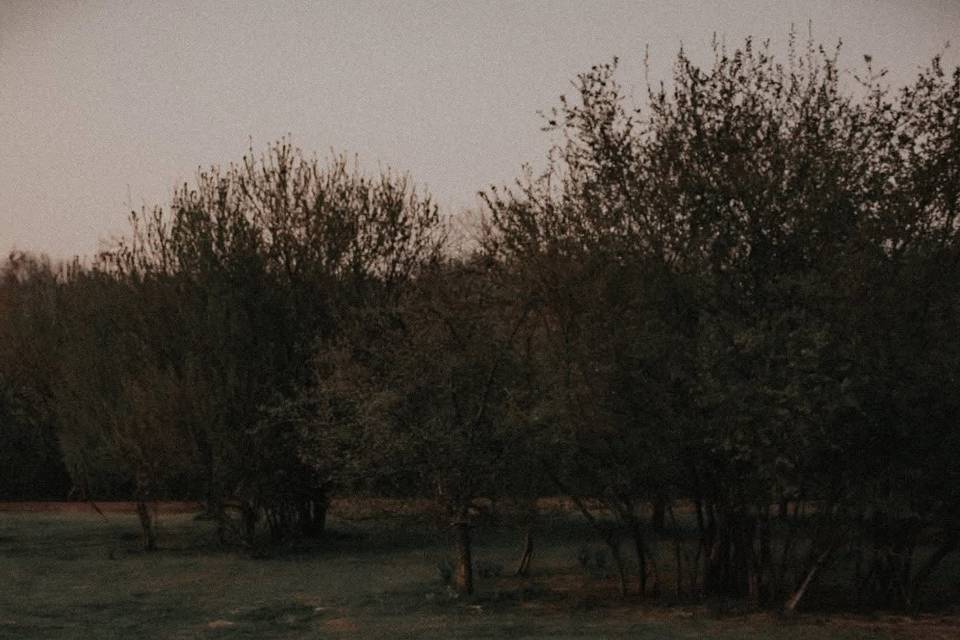 Jardin