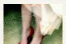 My Deer Photo