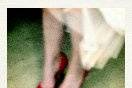 My Deer Photo