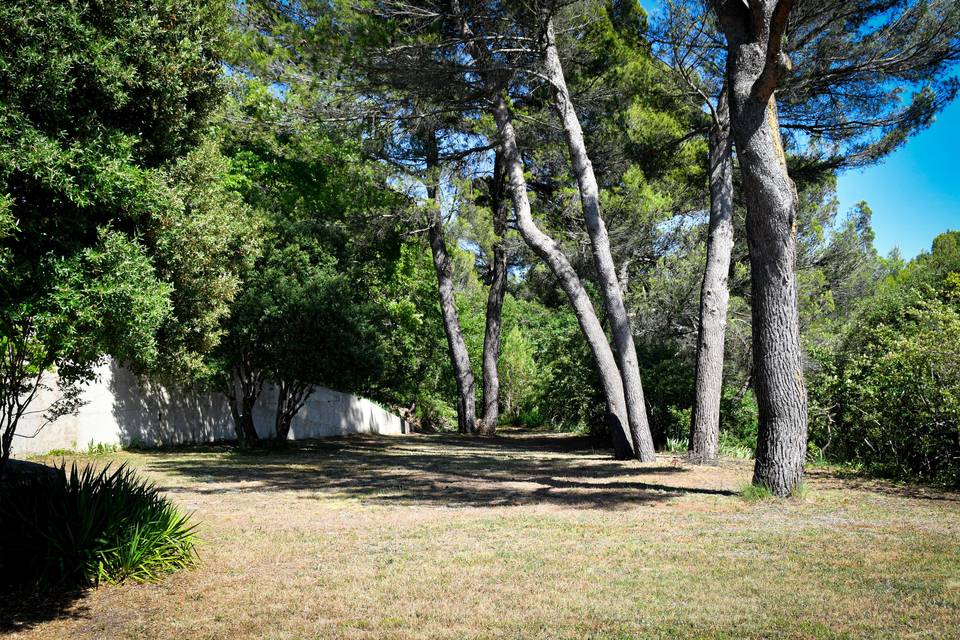 L'espace pour la cérémonie