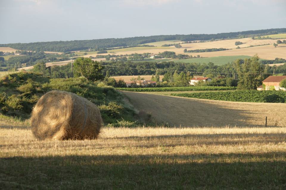 Campagne environante