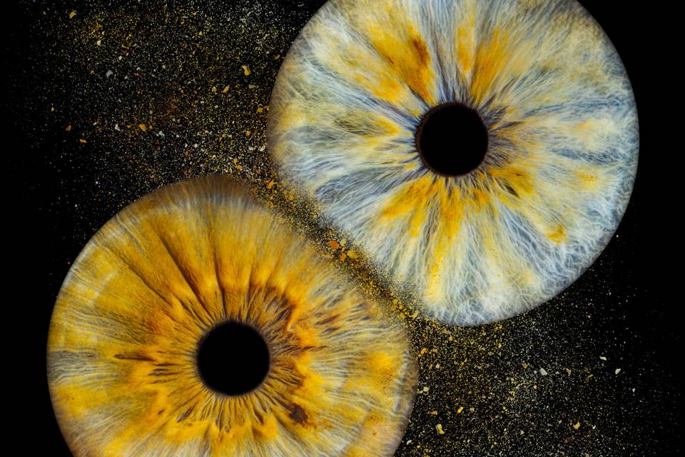 Studio Iris