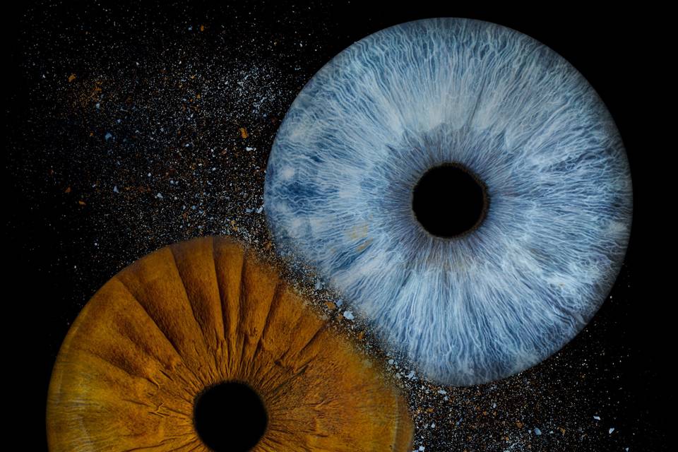 Studio Iris