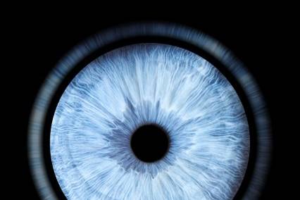 Studio Iris