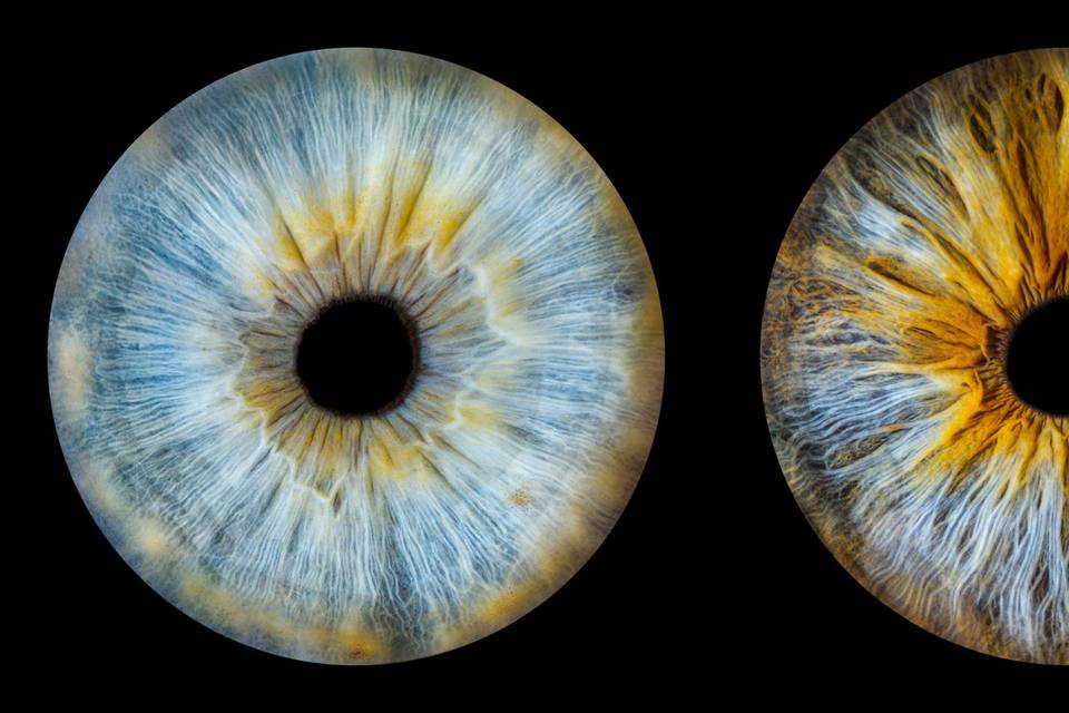 Studio Iris