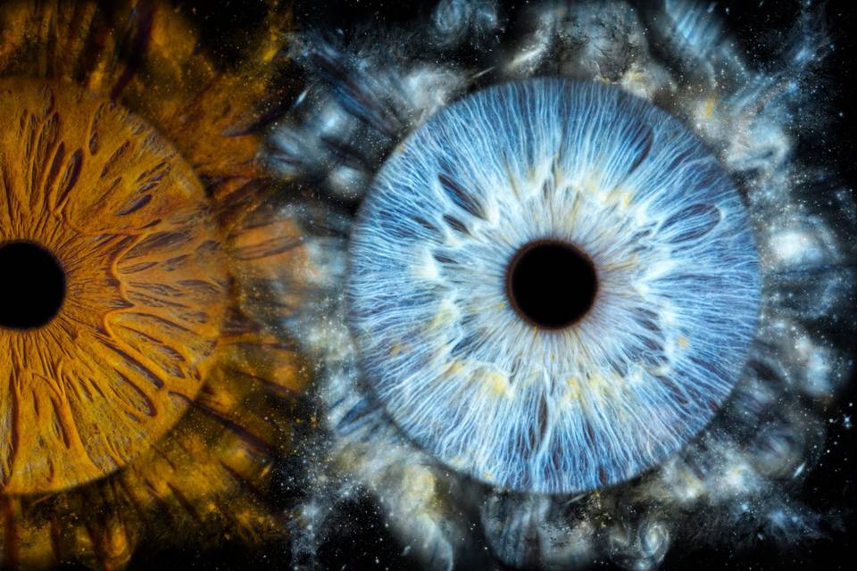 Studio Iris