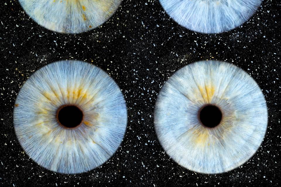 Studio Iris