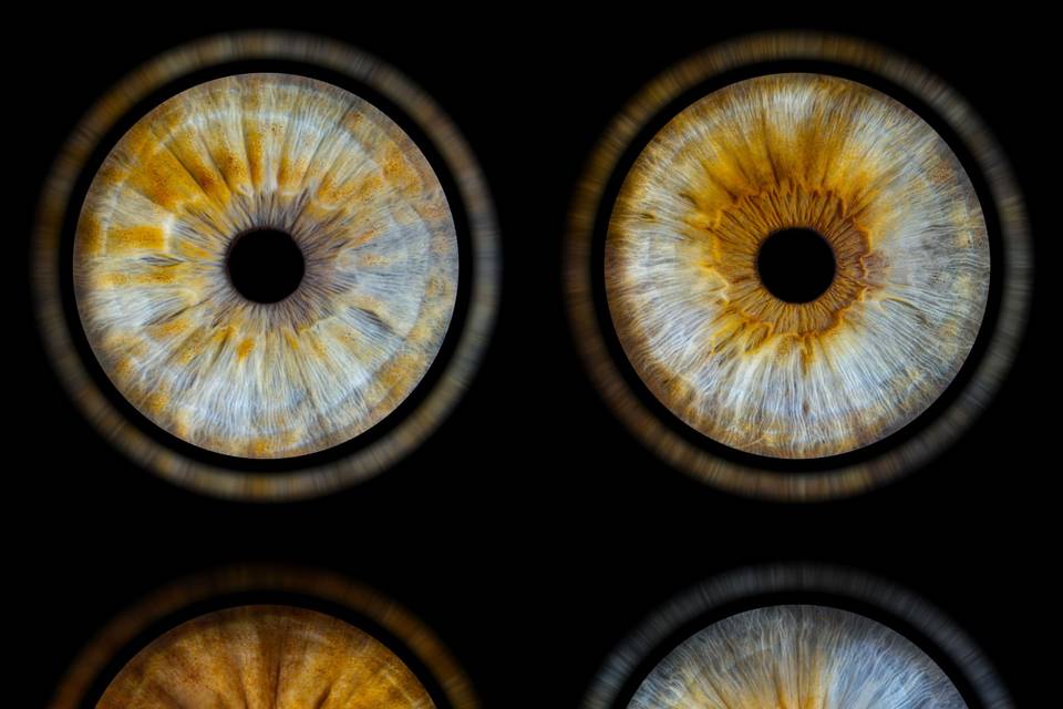 Studio Iris