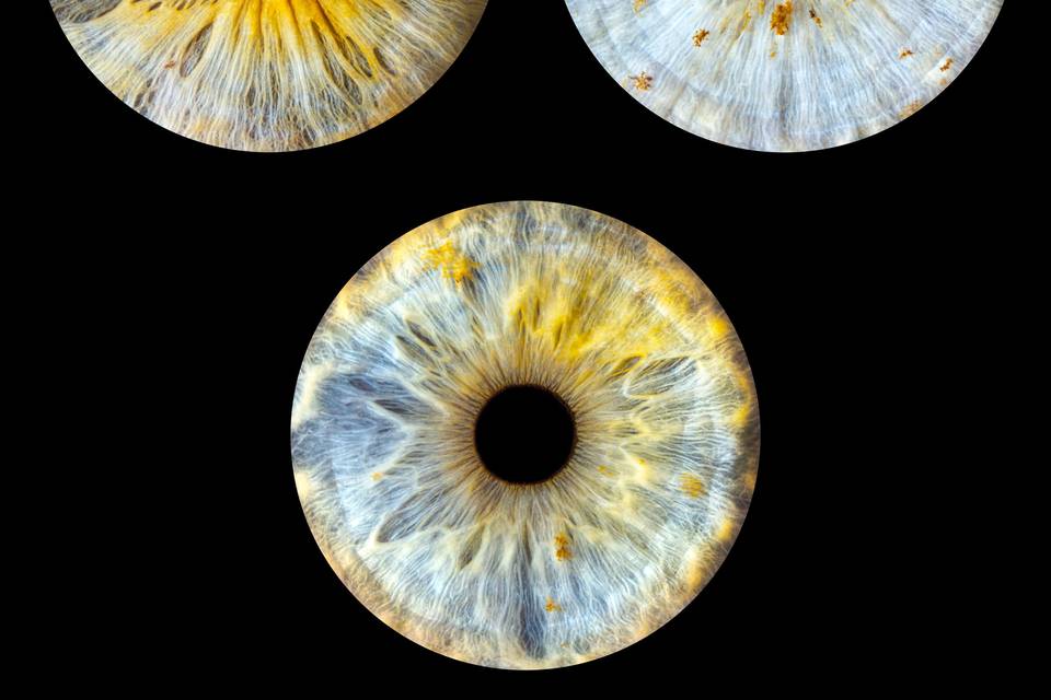 Studio Iris