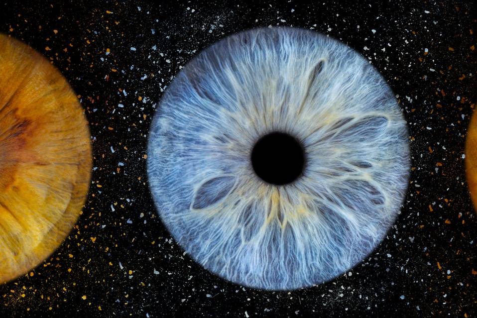Studio Iris