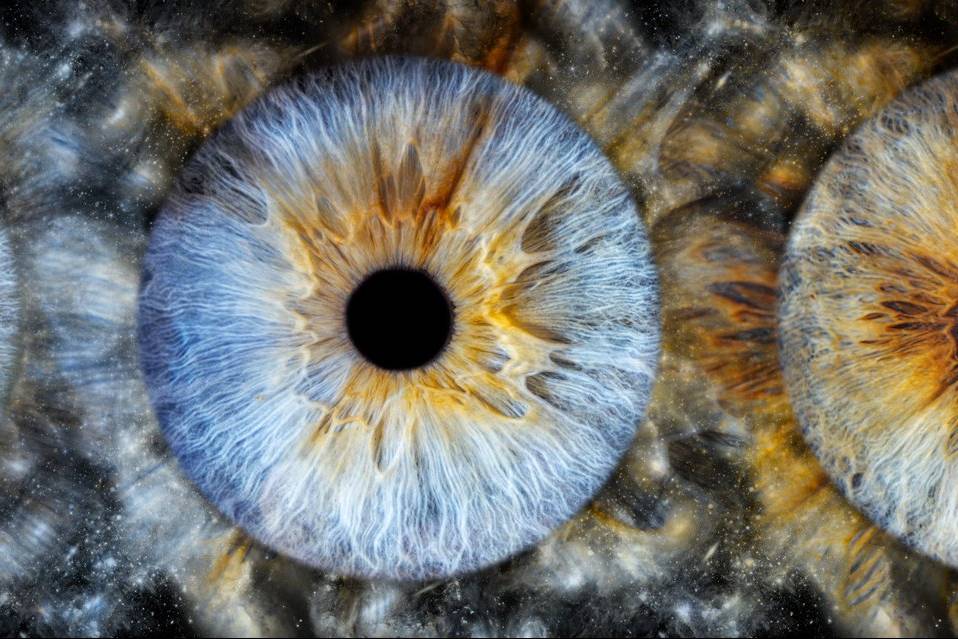 Studio Iris