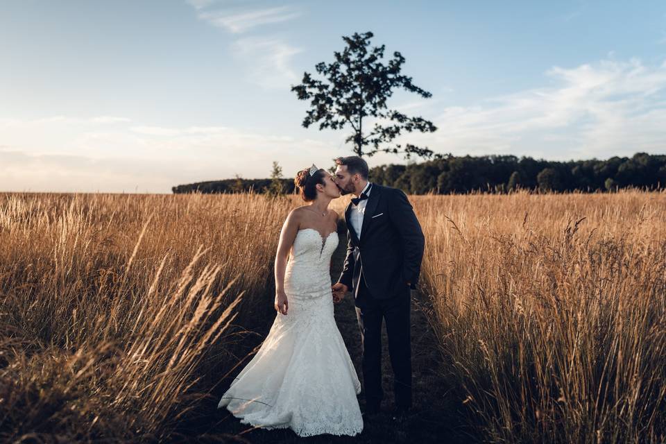 Photos dans les champs de blé