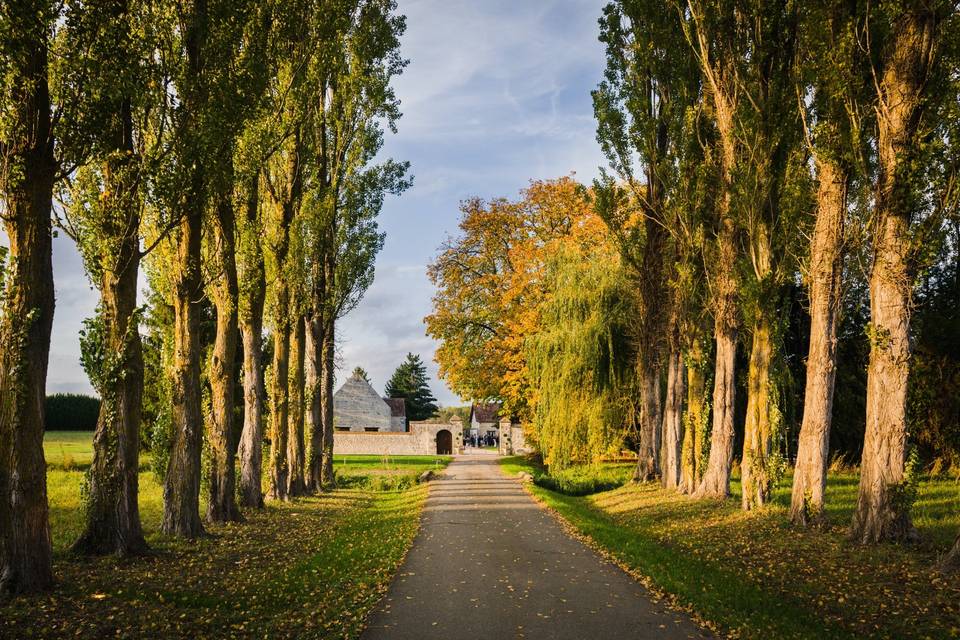 Domaine de la Thibaudière