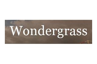 Wondergrass logo
