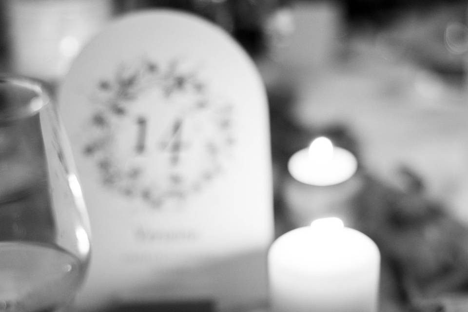 Elodie F. Photographe