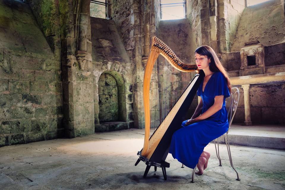 Charlotte Nenert - Harpe celtique