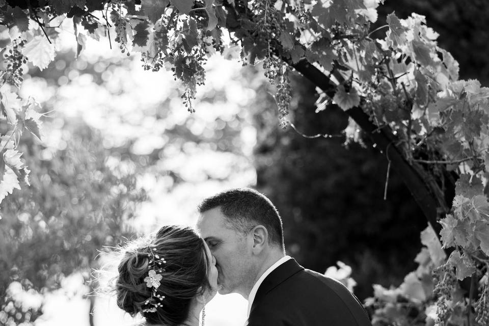Elodie F. Photographe