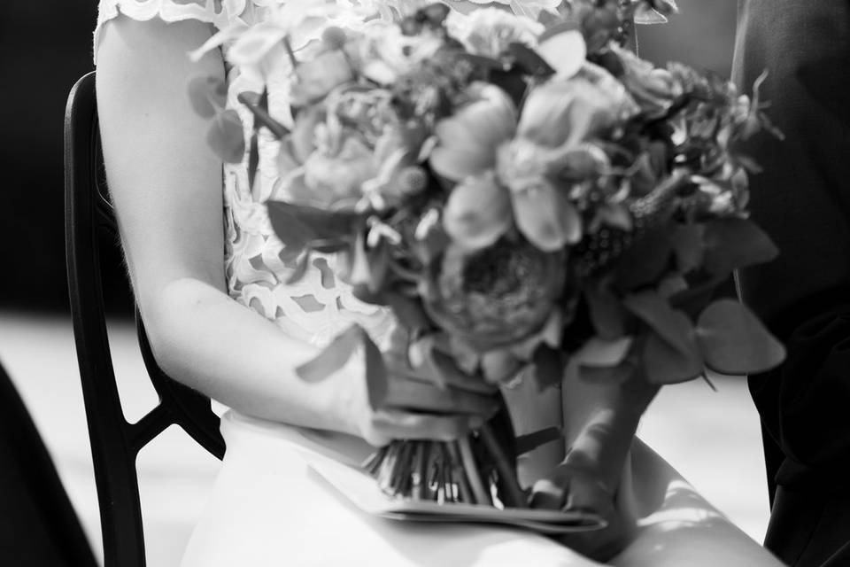 Elodie F. Photographe