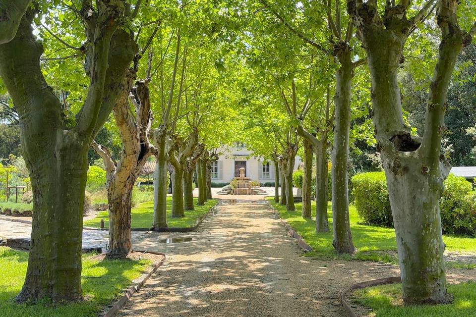 Allée