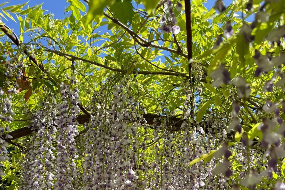 Jardins