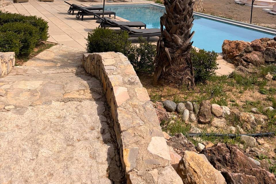Piscine et Tippies